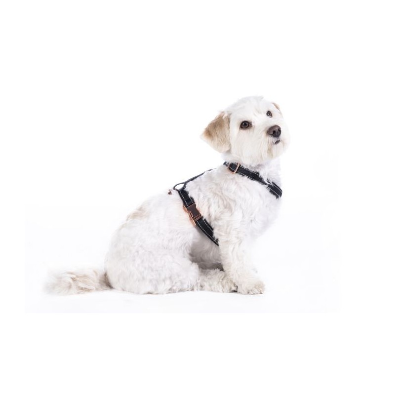 CO et LA Nylon chiot et petit chien - Promenade - ChienHarnais chien nylon  Ecossais beige 20-35cmx10mm XS - Vadigran