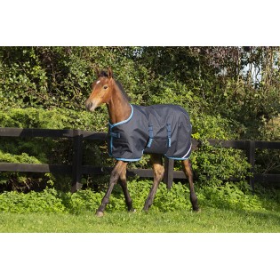 Couverture poulain imperméable Amigo Horseware