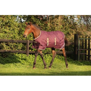 Couverture poulain imperméable Amigo Horseware